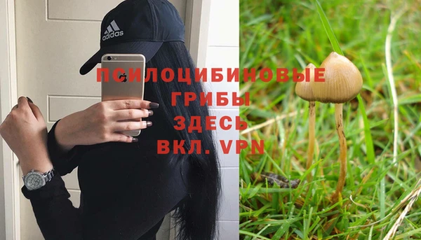 скорость Баксан